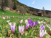 55 Tanti fiori verso le baite